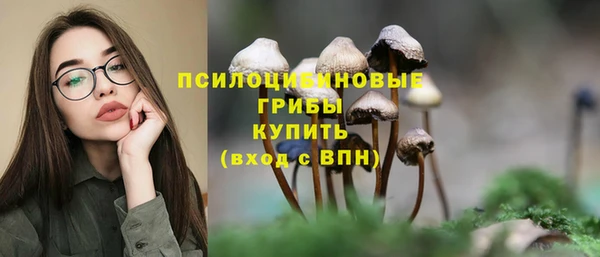 а пвп мука Балахна