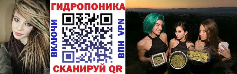 Бошки Шишки индика  купить  сайты  Красный Холм 
